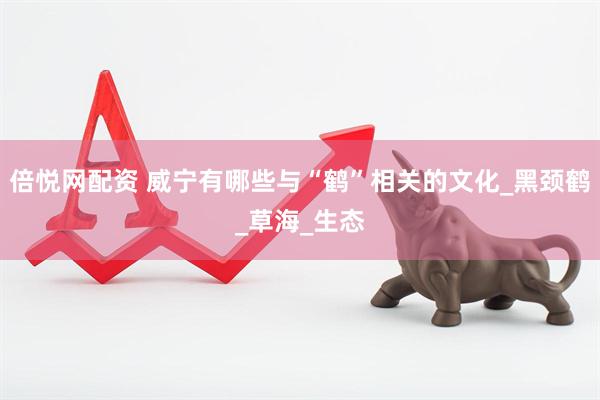 倍悦网配资 威宁有哪些与“鹤”相关的文化_黑颈鹤_草海_生态