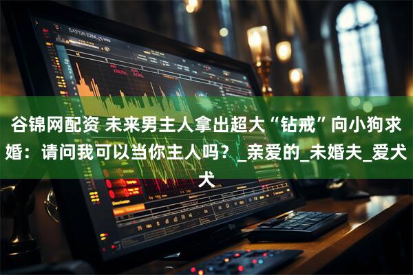 谷锦网配资 未来男主人拿出超大“钻戒”向小狗求婚：请问我可以当你主人吗？_亲爱的_未婚夫_爱犬