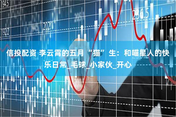 信投配资 李云霄的五月 “猫” 生：和喵星人的快乐日常_毛球_小家伙_开心